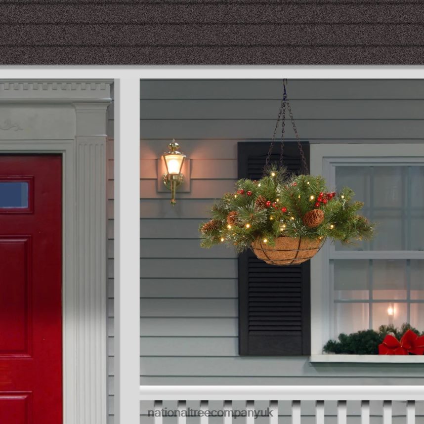 Greenery | National Tree Company Pre-Lit Artificial Hanging Basket Crestwood Spruce with Battery Powered Operated LED Lights with Warm White LED Lights Battery Powered Christmas Collection 16 in F